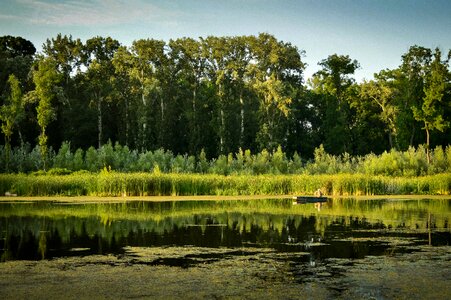 Backwater water trees photo