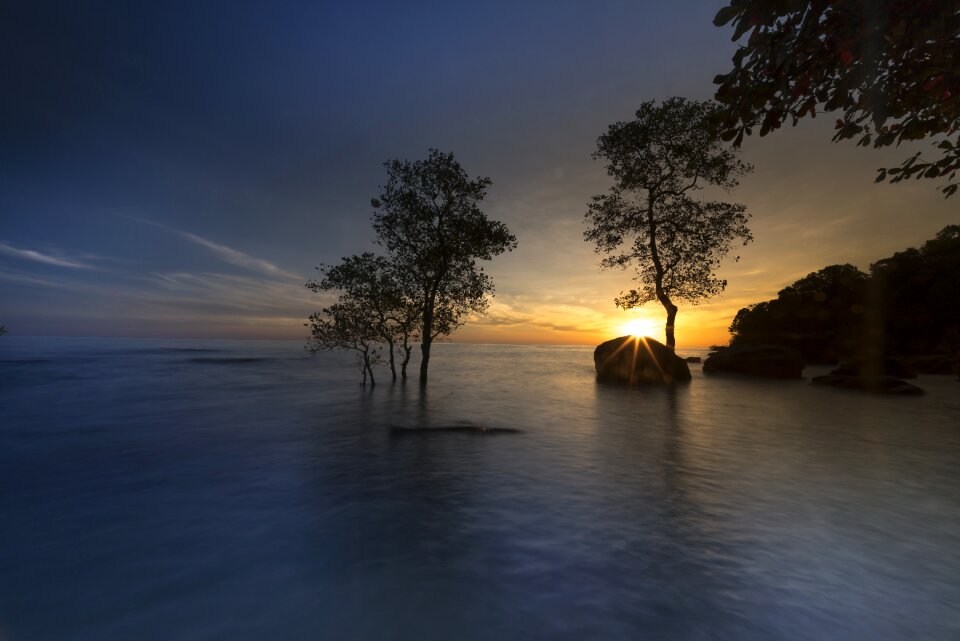 Vietnam the beach mangrove photo