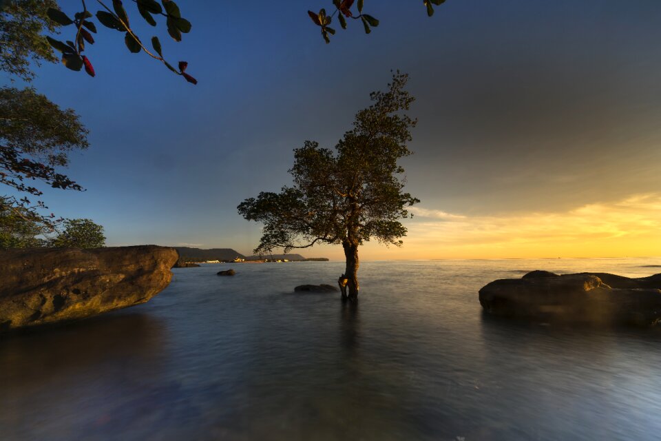 Vietnam the beach mangrove