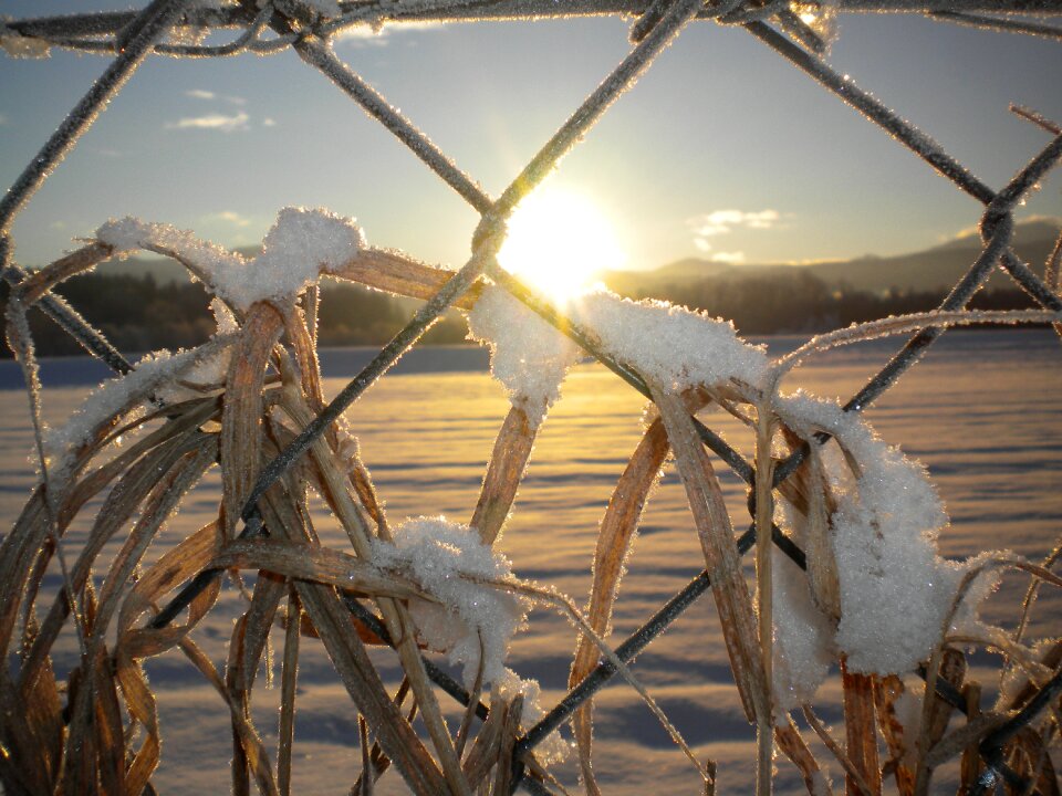 Morning cold rest