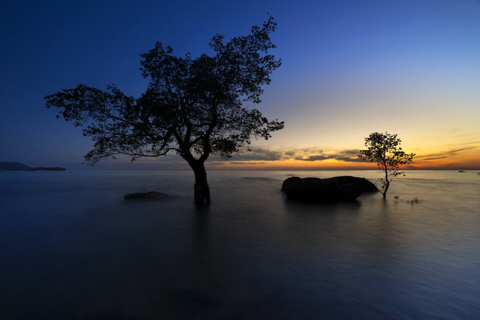 Vietnam the beach mangrove