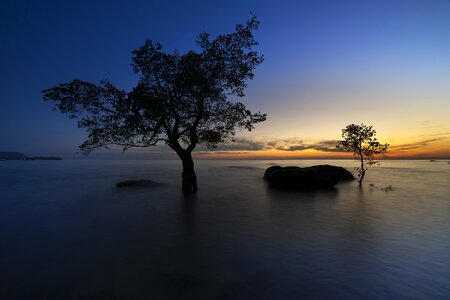 Vietnam the beach mangrove