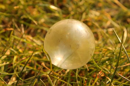 Close up environment soap bubble