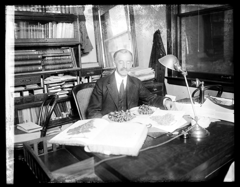 Geo. C. Husmann, 1-12-21 LCCN2016852376