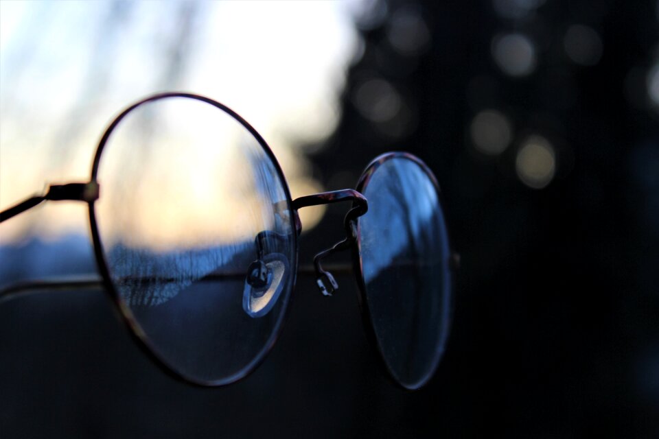 Forest lenses sun