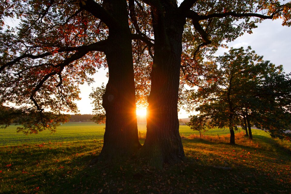 Autumn sun landscape