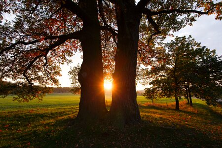 Autumn sun landscape photo