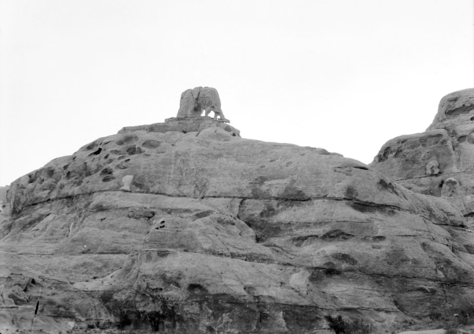 Geology. Rock formation resembling an elephant in southern Palestine LOC matpc.15700