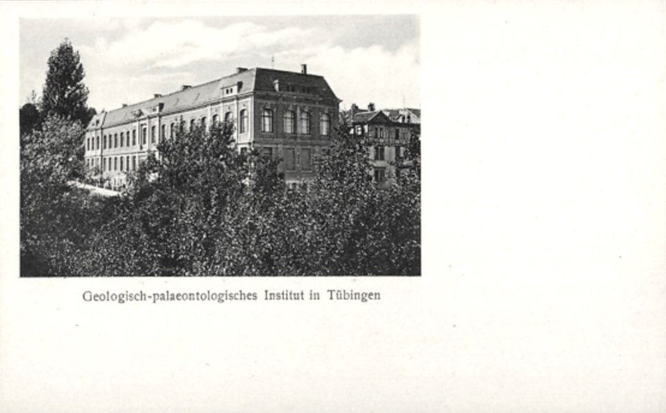 Geologisch-Pläontologisches Institut (AK 4174 L Schaller)