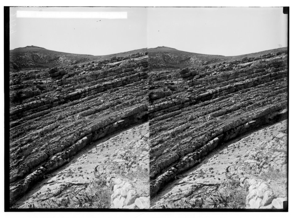 Geology. Inclined limestone bed at Ain Farah LOC matpc.02381