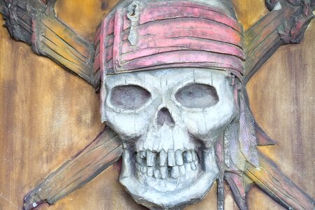 Skull head design