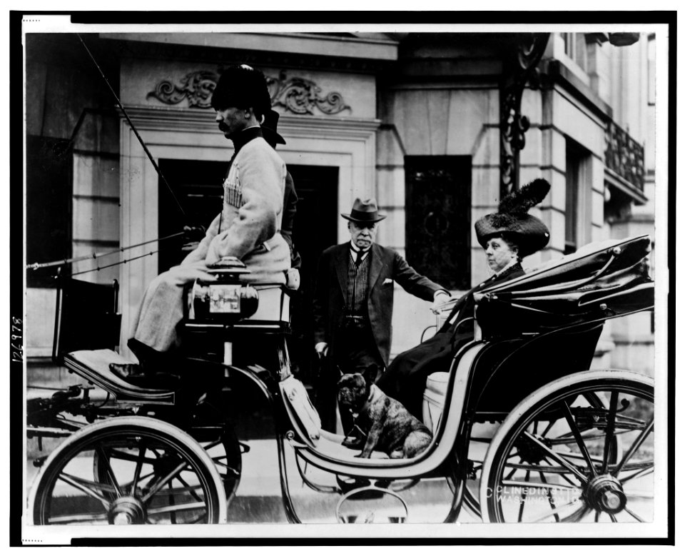 George Bakhmeteff standing alongside carriage on which his wife is seated, with dog LCCN00652037