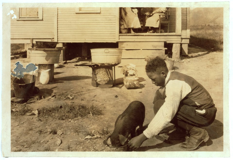 George Cox, 13 yr. old colored boy, has just joined the 4 H Club and is raising a pig. His father is a 'renter' in this poor home near the W. Va. Collegiate Institute (near Charleston) the LOC cph.3b03546