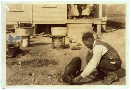 George Cox, 13 yr. old colored boy, has just joined the 4 H Club and is raising a pig. His father is a 'renter' in this poor home near the W. Va. Collegiate Institute (near Charleston) the LOC cph.3b03546