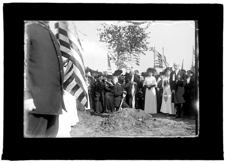 G.A.R. tree planting, Lincoln Memorial, (Washington, D.C.), Sept. 24, 1915 LCCN2016851216