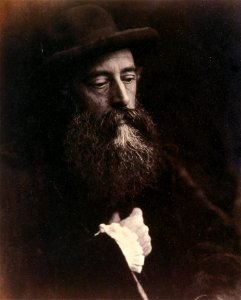 G.F. Watts with hat, by Julia Margaret Cameron, detail