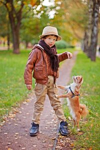 Small dog each animal