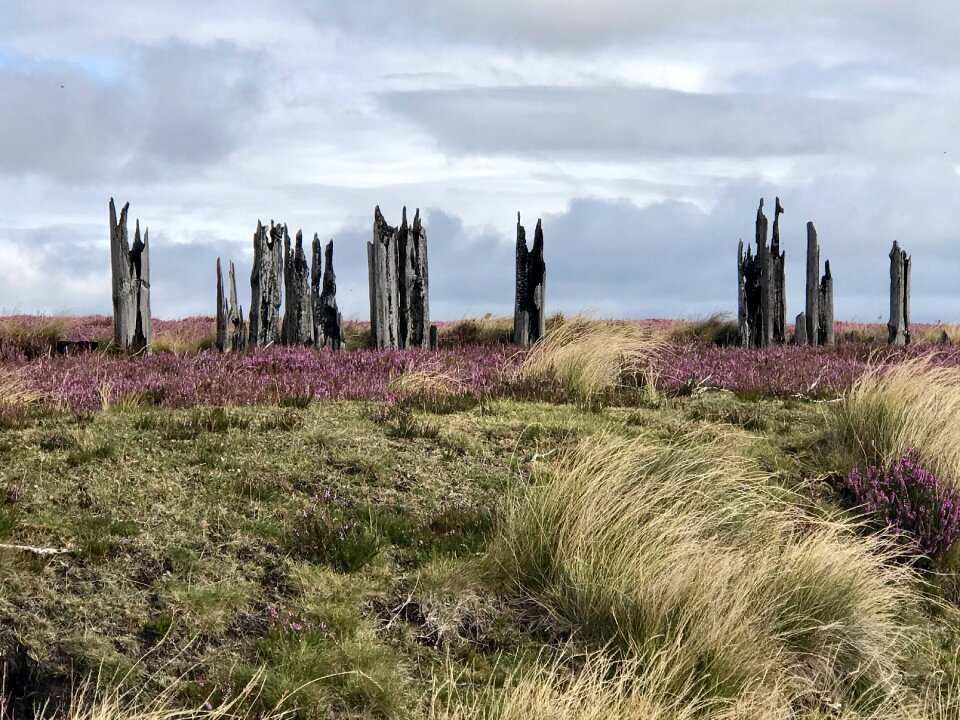 Ruin grass moorland