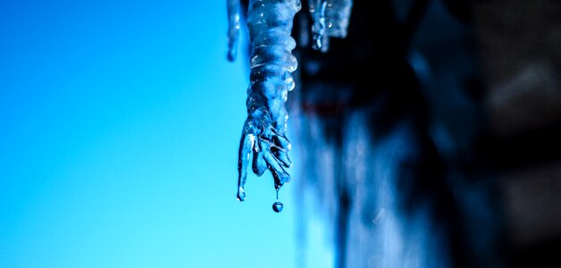 Coldly pearl cold
