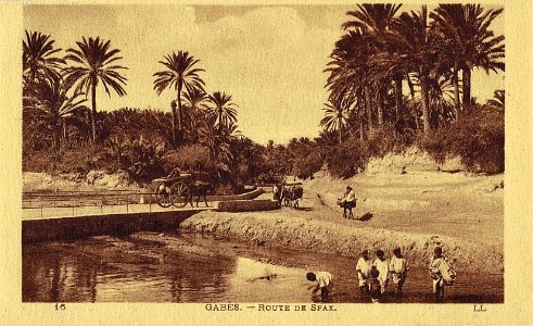 Gabes route de Sfax