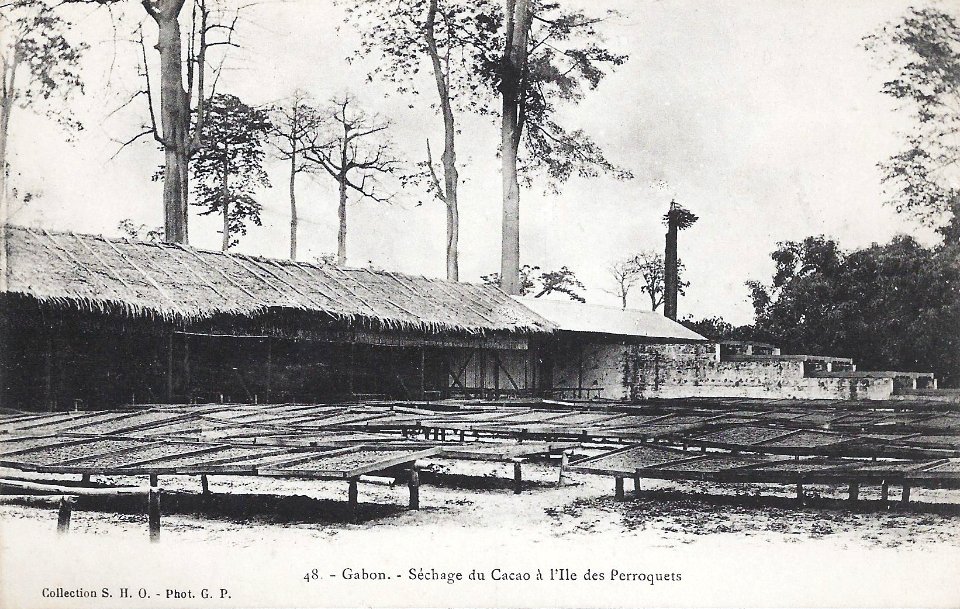 Gabon-Séchage du cacao à l'île des Perroquets