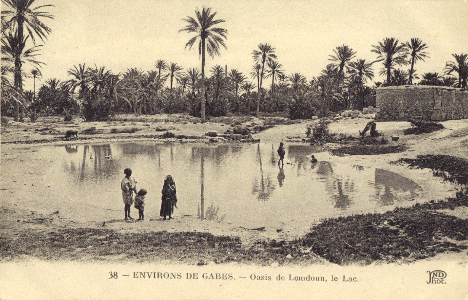 Gabes oasis de Lemdoun