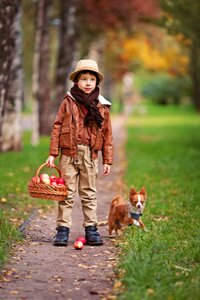 Pet little dog and the boy trees