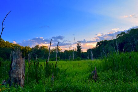 Summer nature landscape photo