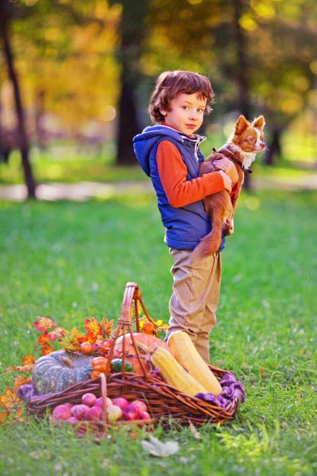 Pet little dog and the boy trees