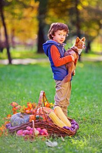 Pet little dog and the boy trees photo
