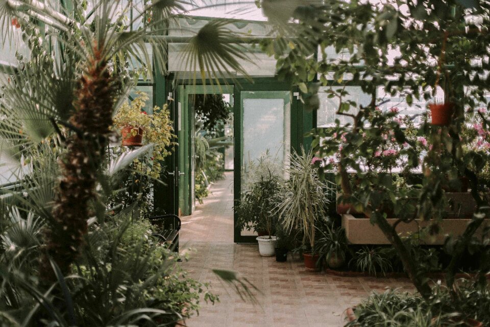 Store garden trees