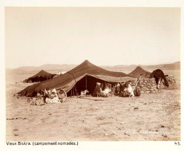 Gamla Biskra, nomadläger, Algeriet - Hallwylska museet - 107943