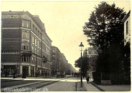 Gammel Kongevej 1888