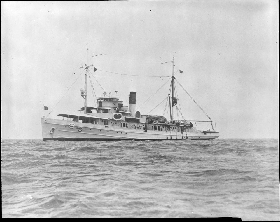 Gannet (AVP8), formerly Minesweeper AM41. Small seaplane tender. Port bow, 05-04-1937 - NARA - 520820