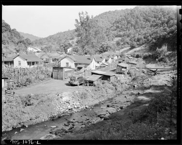 Garbage and trash are dumped along and into stream. Seepage from prives pollutes stream. Gilliam Coal and Coke... - NARA - 540809