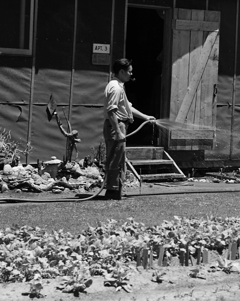 Garden and Apartment 3 detail on July 1, 1942, Manzanar Relocation Center, Manzanar, California. A barrack home at this War Relocation Authority c . . . - NARA - 538156 (cropped)