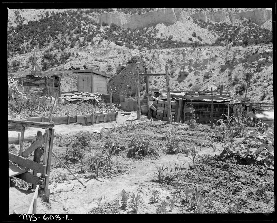 Garden of Nick Varanakis, miner, who lives in company housing project. Independent Coal & Coke Company, Kenilworth... - NARA - 540518