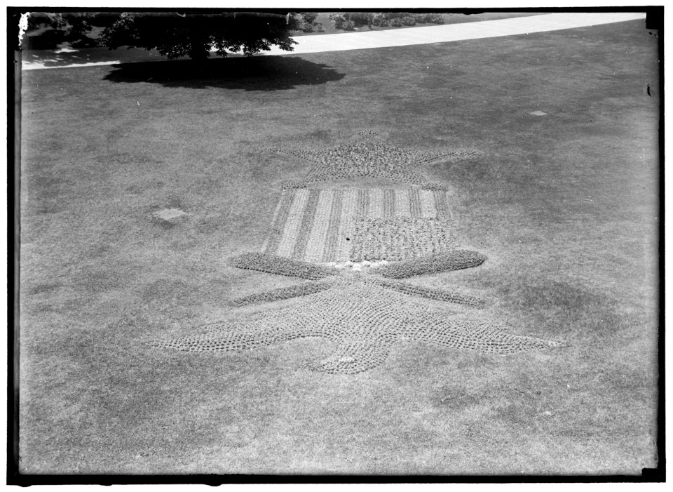 Garden plant design information showing an eagle above a shield with flag, and a large star, probably in Washington, D.C. LOC hec.04197