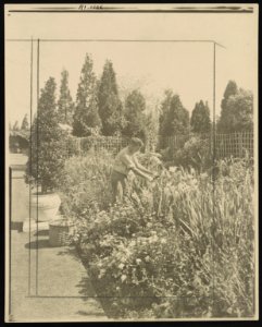Gardener tending floral border, posed to illustrate Rudyard Kipling's poem The Glory of the Garden LCCN00651258