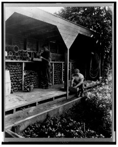 Gardeners potting plants in a shed, posed to illustrate Rudyard Kipling's poem The Glory of the Garden LCCN00649551