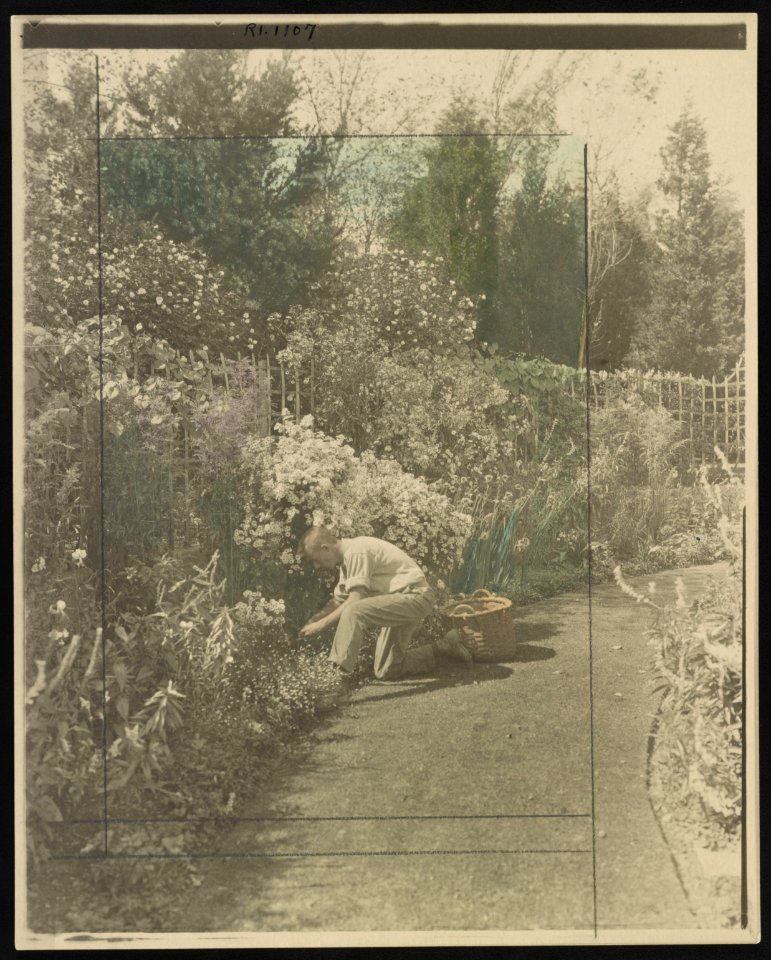 Gardener kneeling to tend floral border, posed to illustrate Rudyard Kipling's poem The Glory of the Garden LCCN00651328