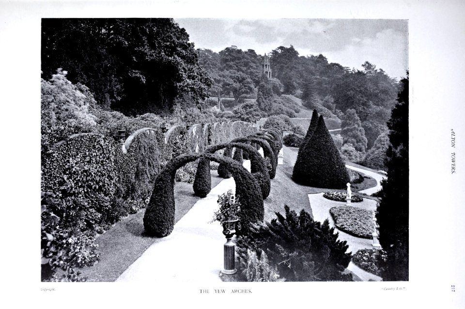 Gardens Old and New Vol 1 Alton Towers yew arches 0249