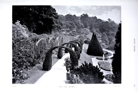 Gardens Old and New Vol 1 Alton Towers yew arches 0249