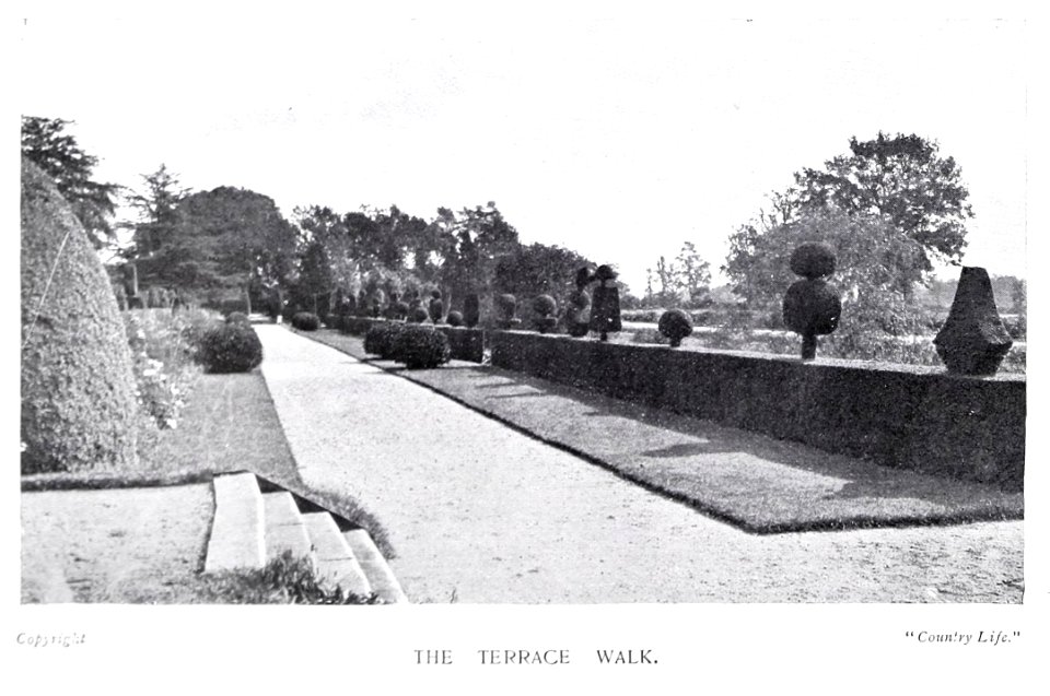 Gardens Old and New Vol 1 Brome Hall the terrace walk 0284