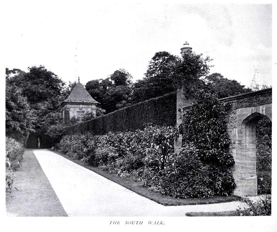Gardens Old and New Vol 3 Athelhampton Hall the south walk 0052