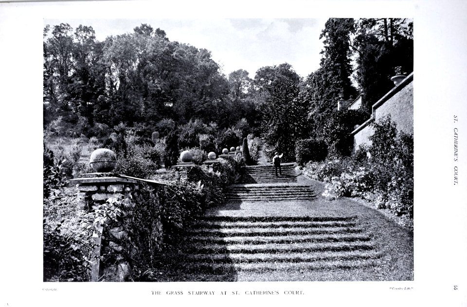Gardens Old and New Vol 1 St Catharines Court grass stairway 0085