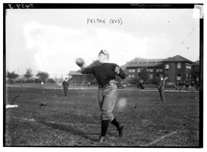 Gardner and Felton, Harvard LCCN2014690743