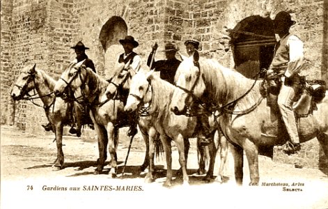 Gardians aux Saintes