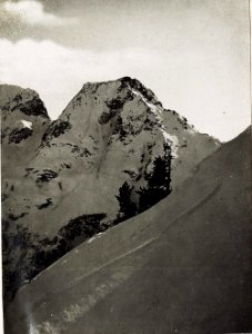 Gardinal anschließend an Busa alta. (BildID 15574675)