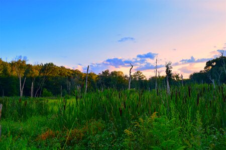 Summer nature landscape photo